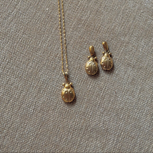 Set Aretes & Collar Ladybug