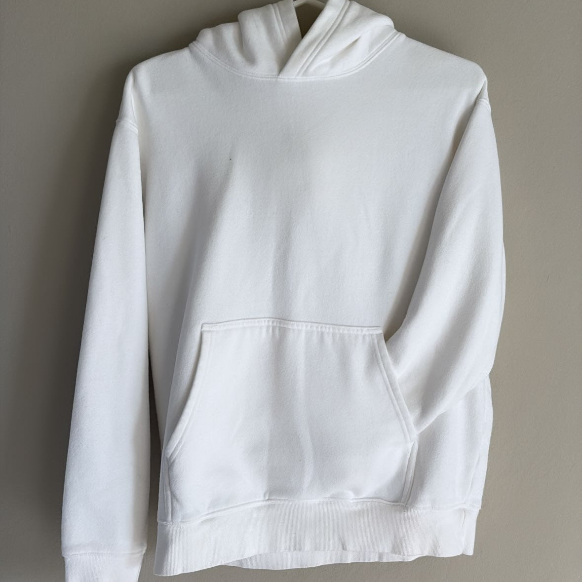 Aritzia TNA Cozy Fleece Perfect Hoodie