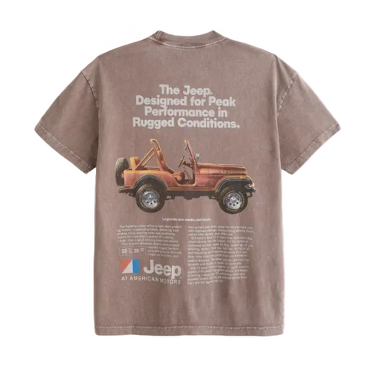 Abercrombie & Fitch Vintage T-Shirt (M)