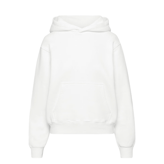 Aritzia TNA Cozy Fleece Perfect Hoodie